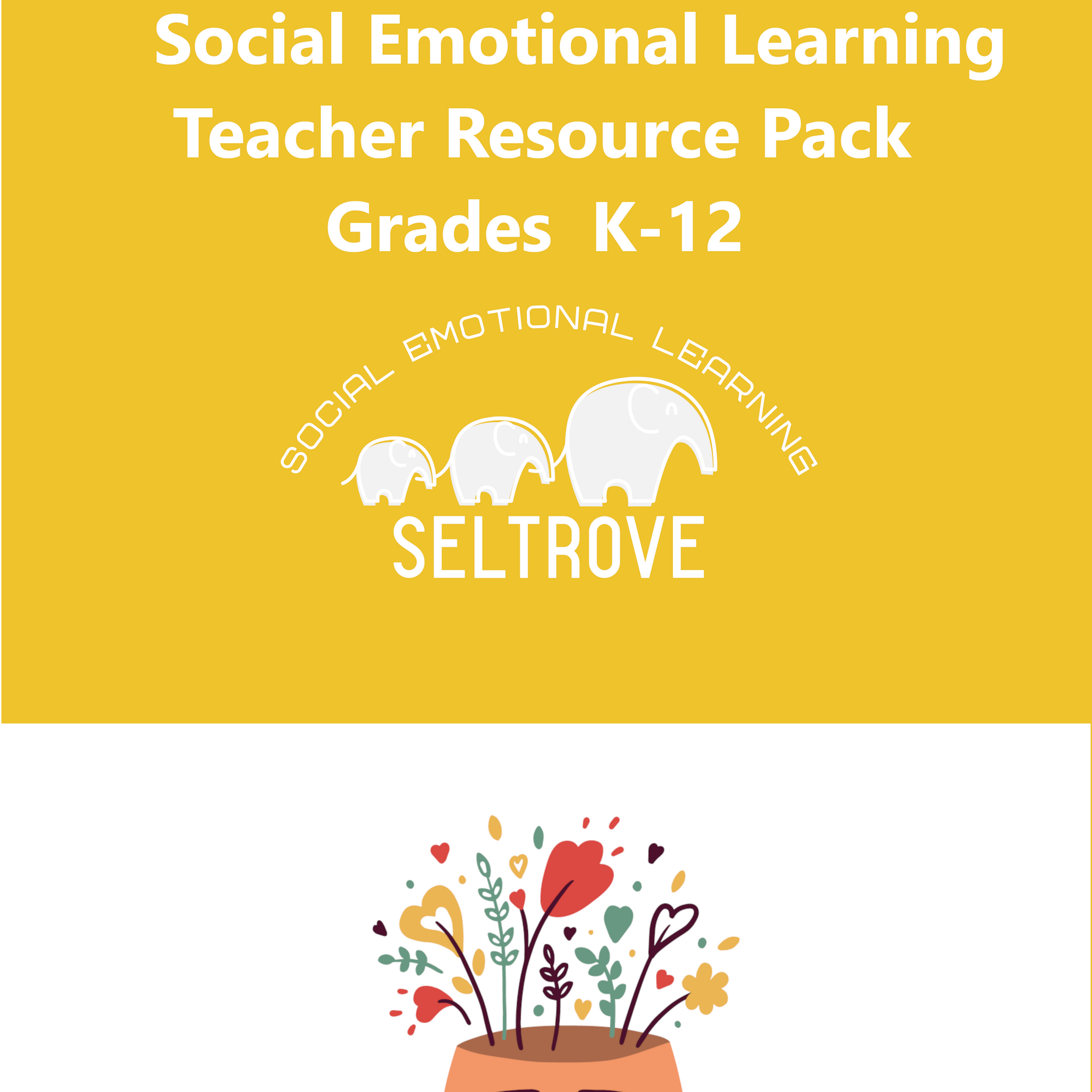 NEW Social-Emotional Learning Workbook Teacher Resource Pack